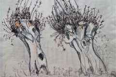 Weiden, 42x29 Kreide